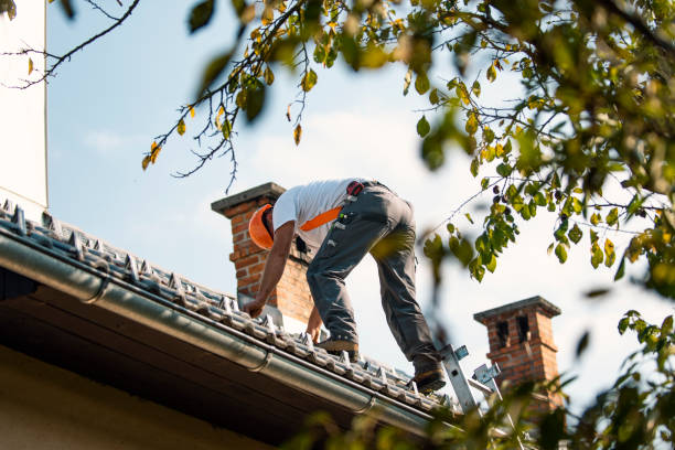 Best Best Roofing Contractors  in Hanna City, IL